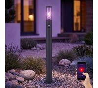 Lampada per Esterni Piantana Movimento Smart LED da Giardino Dimmerabile App H
