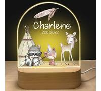 Lampada Personalizzata con Nome | Luce Notturna Bambini | Accessori Cameretta Bambina Bambino Neonato | Idee Regalo Battesimo Bimbo | Regali Nascita Bimba Natale Lampada |Idee Regalo per Nascita