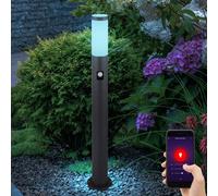 Lampada Piantana da Percorso Smart LED Sensore di Movimento Giardino Dimmerabile [EEK: G]