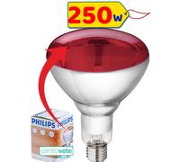 Lampada Riscaldante per RETTILI 100-150-250 W → Riscaldamento TERRARI RETTILARI