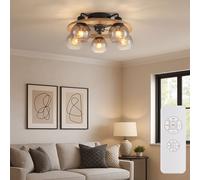 Lampada Soffitto Ventilatore da Ventola Radiatore Timer Telecomando Vetro LED D [EEK: E]