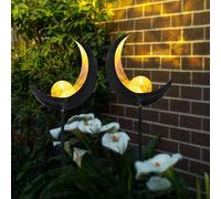 Lampada Solare Da Esterno Con Picchetto In Vetro LED Set Di 2