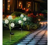 Lampada Solare Da Esterno Fiore Decorativo Pusteblume Con Picchetto LED Set Di 2