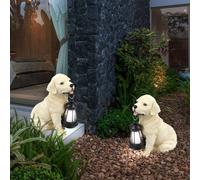 Lampada Solare Da Giardino Con Batteria IP44 Per Cani LED 2 Pezzi