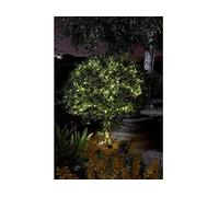 LAMPADA SOLARE DA GIARDINO SMART GARDEN LUCIOLE, Bianco caldo, Verde