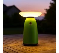 Lampada Solare per Esterni da Tavolo LED Usb-C IP54 Touch Dimmer Verde 22,5 CM [EEK: Non valutato]