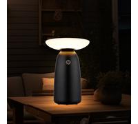 Lampada Solare Da Esterno Lampada Da Tavolo LED USB-C IP54 BIGLIGHT [EEK: Non valutato]