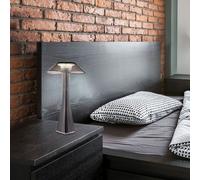 Lampada da Tavolo Comodino Luce da Tavolo Regolatore Touch Batteria [EEK: F]