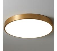 Lampadari, Elegantepadario in Ottda 12 Pollici -Padario da Soffitto Dimmerabile a Basso Profilo con 3 Temperature Di Colore, 18 W 1700 Lm Luce Diurna 5000 Kr Corridoio, Bagno, Cucina e Altro Ancora.