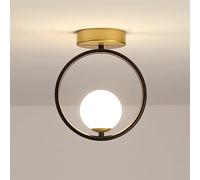 Lampadario a soffitto a LED con Sfera di Vetro, Mini Lampada da corridoio, Moderna, a Globo, a Semi-Incasso, con Corpo in Metallo, Ideale per Soggiorno, Ristorante e Hotel.