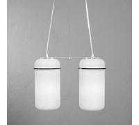 Lampadario a sospensione 2 lampade BLOOM 44x16x34cm colore particolari Nero Nero