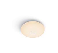 LAMPADARIO DA SOFFITTO PHILIPS Functional 8719514431805
