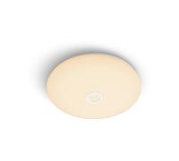 LAMPADARIO DA SOFFITTO PHILIPS Functional 8719514431843