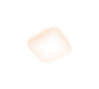 LAMPADARIO DA SOFFITTO PHILIPS Functional 8720169195455