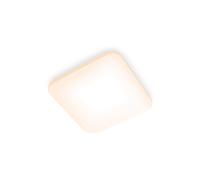 LAMPADARIO DA SOFFITTO PHILIPS Functional 8720169195493
