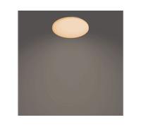 LAMPADARIO DA SOFFITTO PHILIPS Functional 8720169196070