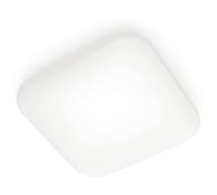 LAMPADARIO DA SOFFITTO SIGNIFY Functional 8720169195479