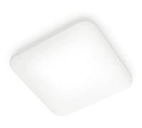 LAMPADARIO DA SOFFITTO SIGNIFY Functional 8720169195516