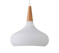 Lampadario in Ferro dallo Stile Semplice, Paralume per lampadario a Colori creativi, Lampada a Sospensione da soffitto con Base E27, apparecchi di Illuminazione da soffitto per Decorazioni di Risto