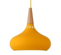 Lampadario in Ferro dallo Stile Semplice, Paralume per lampadario a Colori creativi, Lampada a Sospensione da soffitto con Base E27, apparecchi di Illuminazione da soffitto per Decorazioni di Risto