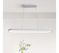 LAMPADARIO LED DIMMERABILE OVALE PLAFONIERA AD ANELLO MODERNA DESIGN INTERNO