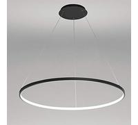 Lampadario Moderno Cerchio Lampada a Sospensione a LED Lampadario Moderno in Metallo Acrilico Sospeso Isola Regolabile Lampada a Sospensione per Soggiorno Cucina Camera da Letto,Nero+Bianco Freddo-60c