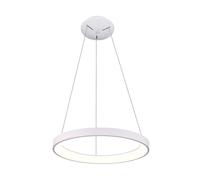 Lampadario pendente LED 42W CCT lampada sospensione circolare 58cm luce tavolo [EEK: E]