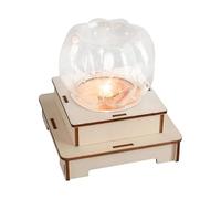Lampade a forma zucca in legno da assemblare con luce LED e istruzioni Giocattolo scienze educative per bambini per studenti che imparano un set lampade a forma zucca in legno