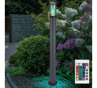 Lampade da Percorso Esterni Piantana Dimmerabile Telecomando RGB LED Antracite