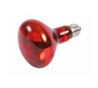 Lampadina a infrarossi Trixie