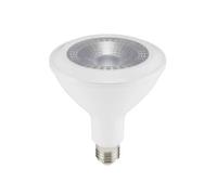 Lampadina a LED SAMSUNG CHIP E27 PAR38 14W 6400K°