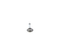 Lampadina BOSCH 1 987 301 423 per MG MG ZT 2 2002-2003