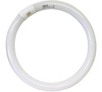 Lampadina Circolare Trifosforo Fluorescente Luce Bianca 6500K - CONFEZIONE: 1 pz., Watt: 40 Watt