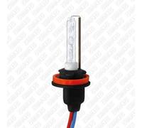 Lampadina Faro Di Svolta Automotive Accessories Sirius XE-H11 6K per Alfa Romeo