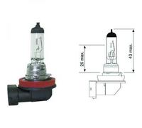 Lampadina H11 12V 55W PGJ19-2