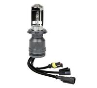 12/24V Lampadina HID Xenon 5.000K - H4 - 1 pz - Scatola