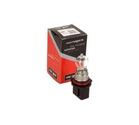MAXGEAR 78-0126 Lampadina indicatore direzione