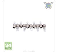 Lampadina Indicatore direzione Maxgear per SCANIA T S R P L G 4 VOLVO FH16 FH12