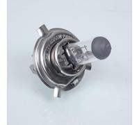 lampadina kyoto per suzuki 1500 c intruder 2005-2009 av nuova