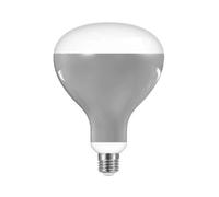 Lampadina LED 13W E27 220-240V 2700K R125