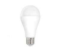 Lampadina LED AGL E27, 12 W, dimmerabile, GLS, 12 W, confezione da 10 pezzi (bianco freddo 6.000 Kelvin)