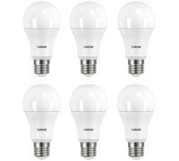 Lampadina LED E27 13,5 W(Equivalenti a 100W) Lampadine A60 Edison 1521 Lumen
