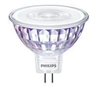 Philips LED Lampadina Faretto Equivalente a 50W, Attacco GU5.3, Luce Bianca Fredda, non Dimmerabile