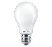 Philips Lampadina smerigliata a filamento 60 W A60 E27