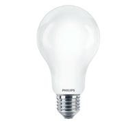 Philips Lampadina smerigliata a filamento 120 W A67 E27