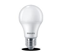 Lampadina LED PHILIPS DiscountLed 75W A60 2700K