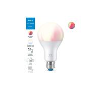 Lampadina LED RGB E27 A67 luce colorata e bianca dimmerabile WiFi