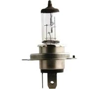 Lampadina NAR489013000 NARVA