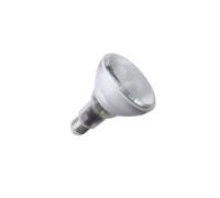Lampadina PAR30 E27 15W Warm Risparmio Energetico - LA FILOMETALLICA MEGAMAN...