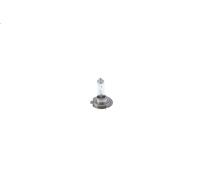 Lampadina per BOSCH 1 987 301 423 per MG ZT 2 2002-2003